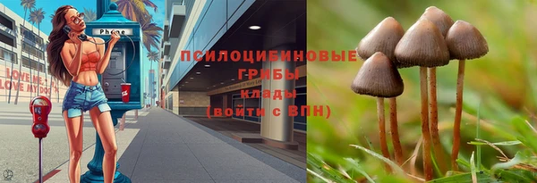 стаф Волоколамск