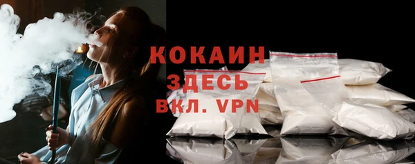 стаф Волоколамск