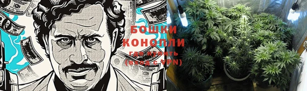 стаф Волоколамск