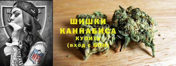 PSILOCYBIN Волосово
