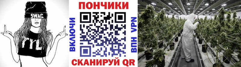 Купить  Ильский  Конопля гибрид 